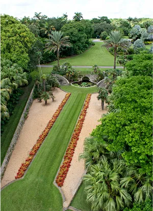 Lush_ Tropical_ Garden_ Pathway PNG image