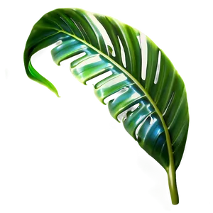 Lush Tropical Leaf Png Edc47 PNG image