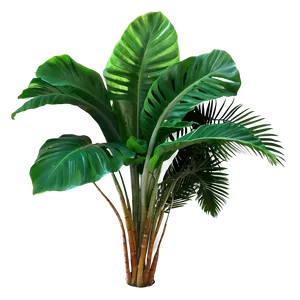 Lush Tropical Plant Png 06272024 PNG image