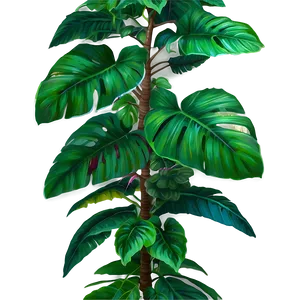 Lush Tropical Plant Png 06272024 PNG image