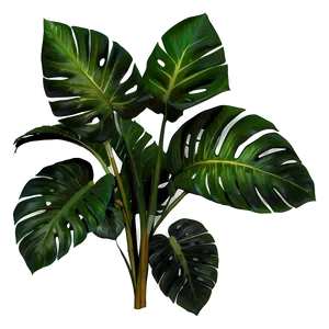 Lush Tropical Plant Png 31 PNG image