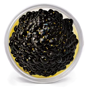 Luxurious Caviar Png Icf68 PNG image