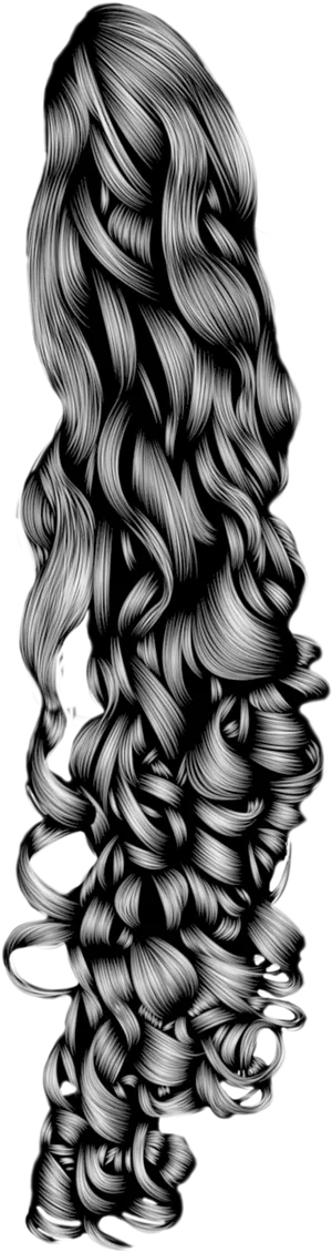 Luxurious Curly Hair Illustration