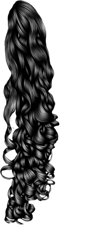 Luxurious Curly Hair Illustration