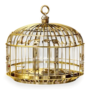Luxurious Golden Cage PNG 05252024