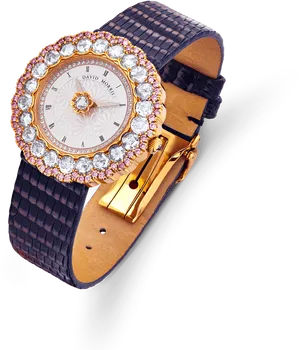 Luxury Diamond Encrusted Watch PNG image