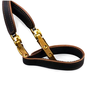 Luxury Dog Leash PNG 06132024