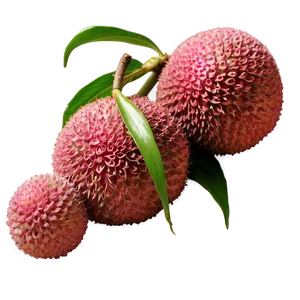 Lychee B