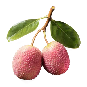 Lychee D