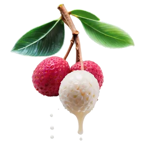 Lychee Dessert Topping PNG 06252024 PNG