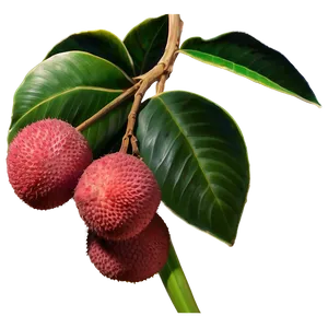 Lychee Exotic Elegance PNG 06252024