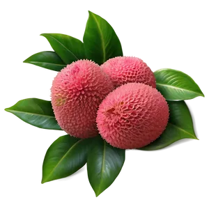 Lychee Exotic Elegance PNG 21