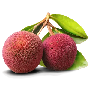 Lychee Exotic Elegance PNG Jde