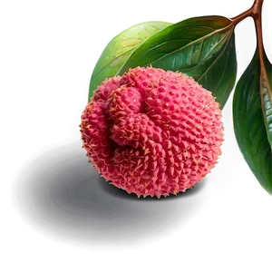 Lychee Fruit Icon Png 06252024 PNG image