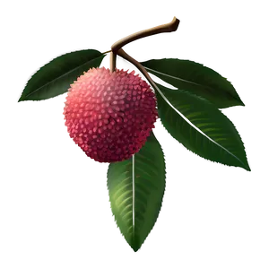 Lychee Fruit Icon PNG 92 PNG