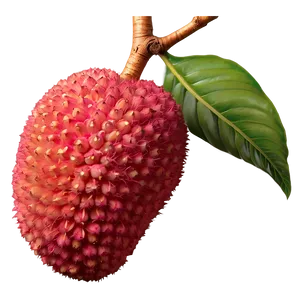 Lychee Fruit Icon PNG Lck PNG