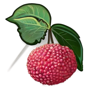 Lychee Fruit Icon Png Rwc PNG image