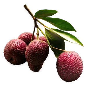 Lychee Fruit Silhouette Png Gak70 PNG image