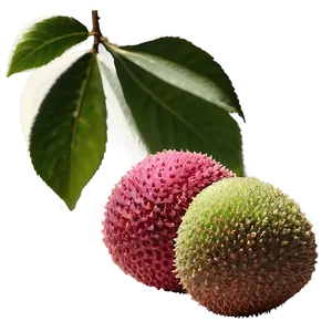 Lychee Fruit Silhouette Png Uuj PNG image