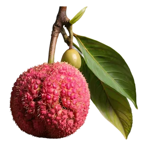 Lychee In Natural Light Png 76 PNG image