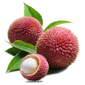 Lychee In Natural Light PNG Yxl15 PNG