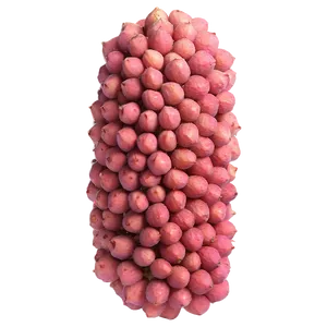 Lychee Pink Flesh PNG Utl68 PNG