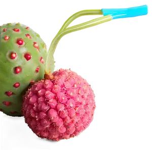 Lychee Summer Refreshment PNG 59