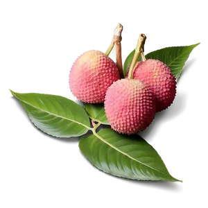 Lychee With Leaf PNG Qua