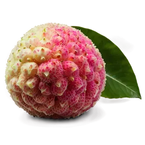 Lychee With Leaf PNG Qvs21