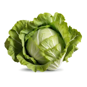 Mâche Lettuce Png 05242024 PNG image