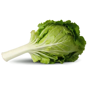 Mâche Lettuce Png Asy97 PNG image