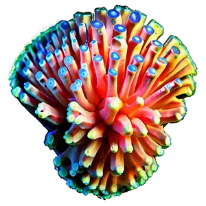 Macro Coral Beauty PNG Erl60 PNG