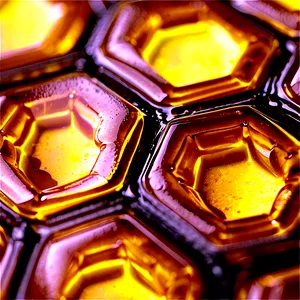 Macro Honeycomb PNG Dqi75 PNG