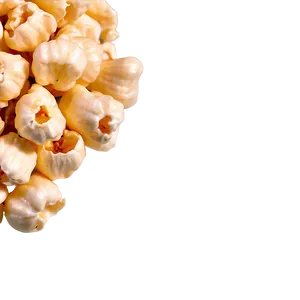 Macro Popcorn Kernel PNG Dat PNG