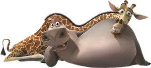 Madagascar Characters Melmanand Gloria PNG image