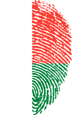 Madagascar Flag Fingerprint PNG image
