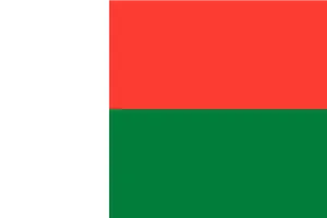 Madagascar National Flag PNG image