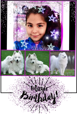 Magical Birthday Celebrationwith Samoyeds PNG image