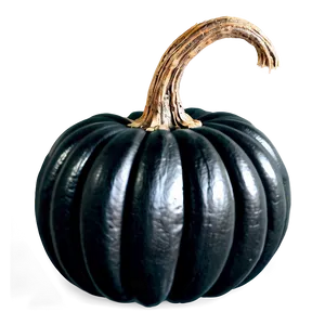 Magical Black Pumpkin PNG 06282024 PNG