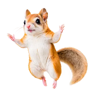 Magical Flying Squirrel Png Sja PNG image