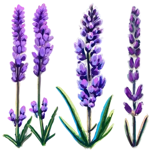 Magical Heather Png Ltf59 PNG image