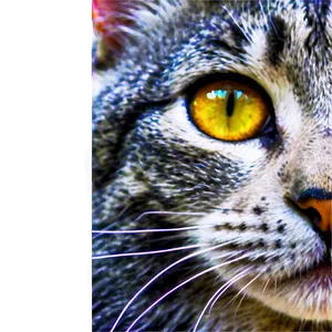 Magical Kitty Glance PNG Oeo7 PNG