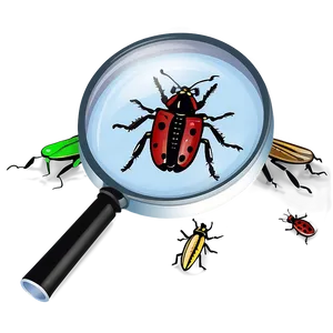 Magnifying Glass With Bug PNG 05042024