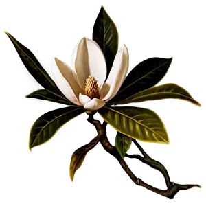 Magnolia Flower Emblem Png 61 PNG image