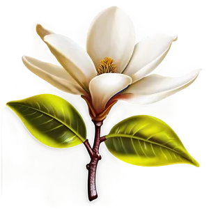 Magnolia Flower Icon PNG 06252024