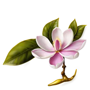 Magnolia Flower Icon PNG Epj40 PNG