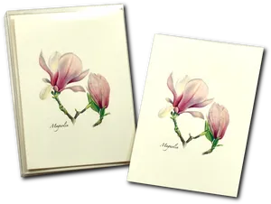 Magnolia Flower Illustration Notebooks PNG image