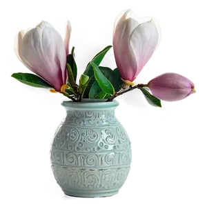 Magnolia Flower In Vase PNG Fot93 PNG