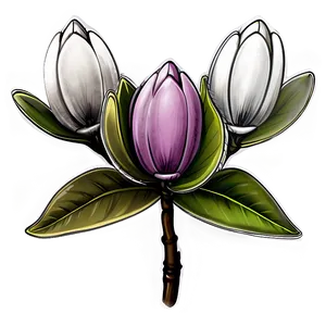 Magnolia Flower Sketch PNG 05252024