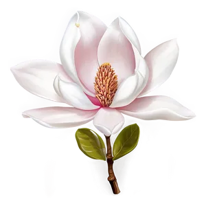 Magnolia Flower Symbol PNG Ffa74 PNG